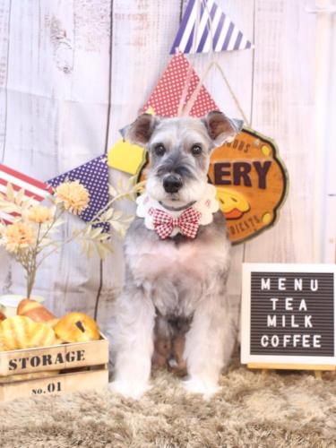 20240914小鉄くん